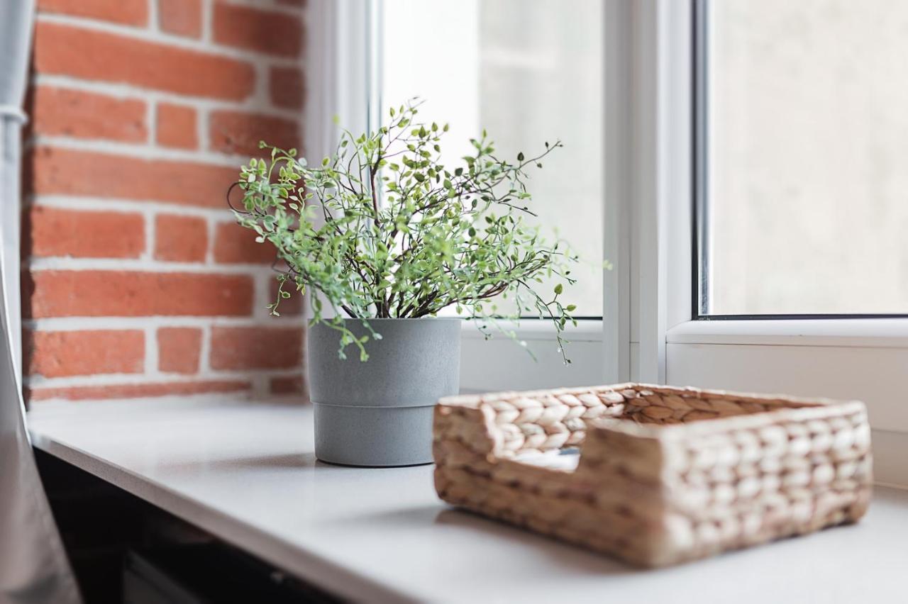Right In The Heart Of Wroclaw Apartment ภายนอก รูปภาพ